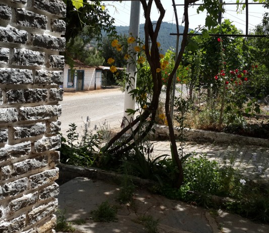 Yalıkavak Bodrum